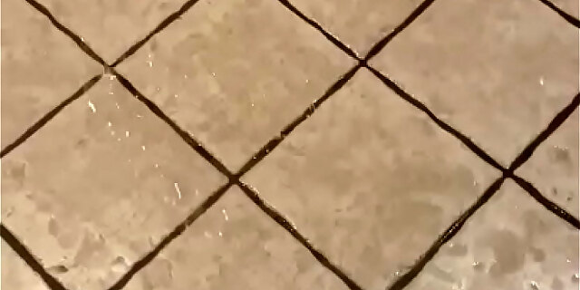 Peeing On Kitchen Floor