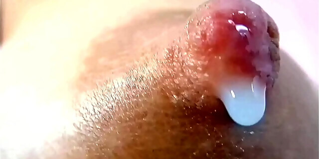 Closeup Milking Nipple