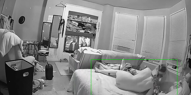 Neighbors And Donatello Demonte